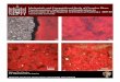 Mechanistic and Computational Study of Cinnabar Phase ... · computational study of the phase transformation of mercury sulfide (HgS) and its implications to the conservation of the