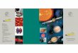 PDF Broschuere 2009 - Max Planck Society · 2009-11-24 · the planets. The second area of research involves the interiors, surfaces, atmospheres, ionospheres, and magnetospheres