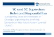 SC and SC Supervisor: Roles and Responsibilities... > SC and SC Supervisor: Roles and Responsibilities Succeeding in an Environment of Change: Exploring the Evolving Dynamic of the