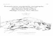 Circular 176: Pennsylvanian stratigrahy, …Circular 176 Pennsylvanian stratigraphy, petrography, and petroleum geology of Big Hatchet Peak section, Hidalgo County, New Mexico by Sam