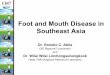 Foot and Mouth Disease in Southeast Asia - One World · Foot and Mouth Disease • caused by a virus of the genus Aphthovirus, family Picornaviridae. • seven serotypes of FMD virus