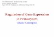 Regulation of Gene Expression in Prokaryotes · Regulation of Gene Expression in Prokaryotes (Basic Concepts) SOS in Biochemistry, Jiwaji University, Gwalior M.Sc. II Semester (2019-20)