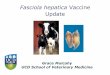 Fasciola hepatica Vaccine Update...Fasciola hepatica Vaccine Update Grace Mulcahy UCD School of Veterinary Medicine Why Vaccines? •Cattle and sheep of all ages •Clinical and sub-clinical