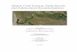 Salmon Creek Estuary: Study Results and Enhancement ... Estuary Final.pdf · when Russians established farms in Bodega and Freestone in 1812. European settlers began to arrive in