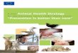 for the European Union (2007-2013) where “Prevention is better than cure” · 2009-12-15 · A new Animal Health Strategy for the European Union (2007-2013) where “Prevention