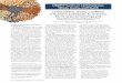 CIMMYT Series on Carbohydrates, Wheat, Grains, …...260 / NOVEMBER–DECEMBER 2015, VOL. 60, NO. 6 CIMMYT Series on Carbohydrates, Wheat, Grains, and Health Grain and Whole Grain