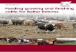 BEEF BRP MANUAL 7 Feeding growing and finishing cattle for ...beefandlamb.ahdb.org.uk/wp-content/uploads/2017/04/BRP-Feeding … · This manual complements a number of others which