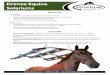 Drimee Equine Solariums - horseexerciser.com...Ultra-Pro Solarium Our award winning, number one selling horse solarium is fitted withlow wattage, low pressure, and low cost 12 infrared