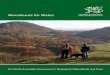 Woodlands for Wales Strategy€¦ · for Wales, reconfirming some existing priorities, identifying others where we need to make more rapid progress, and setting out our planned responses