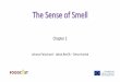 The Sense of Smell - Universidad Miguel Hernández de Elchefoodcost.edu.umh.es/.../06/2.-The-sense-of-SMELL.pdf · 2.2 Smell Perception and its Impact on Consumer’ Emotions 1-1