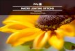 MACRO LIGHTING OPTIONS - Amazon S3€¦ · NATURAL LIGHTING Natural light — the sun — seems like a logical choice for the perfect light source for outdoor macro photography, and