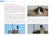 Correspondence - Indian Birdsindianbirds.in/pdfs/IB_14_3_GreshmaETAL_WoollyneckedStork.pdf · V. Arya P. Greeshma Breeding of Woolly-necked Stork Ciconia episcopus in Bharathapuzha