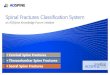 Spinal Fractures Classification Systemspinesurgery.de/images/dokumente/flyer/aos_brochA5_KF_ClassSystems.pdfSpinal Fractures Classification System an AOSpine Knowledge Forum initiative