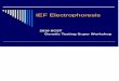 supplies - IEF Talk 2016 EL WS€¦ · Isoelectric Focusing (IEF) Can use polyacrylamide or agarose gels Based on molecules that can be positively or negatively charged (amphoteric)
