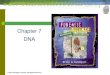 Chapter 7 DNA - mahoneyspage.comDNA Segment Length (base pairs) 400 500 1,200 1,300 1,500 X X X Enzyme Enzyme Enzyme Enzyme