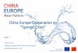China Europe Cooperation on “Sponge Cities” files...China Europe Cooperation on “Sponge Cities” AIWW Gerard de Vries, Programme Manager CEWP-PI Water and Urbanization Amsterdam
