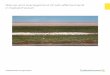 Nature and Management of Salt-Affected Land In Saskatchewan · 2019-06-10 · The Nature and Management of Salt-Affected Land In Saskatchewan Part 1: The Nature of Salt-Affected Soils