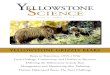 Yellowstone Grizzly Bears - National Park Service · 2017-10-31 · The recovery goal for wolves in the northern Rocky Mountains was set at a minimum of 30 breeding pairs (a breeding