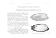 2000. Bivalve seashells of western North America: marine bivalve mollusks from Arctic Alaska to Baja California. Santa Barbara Museum of Natural History Monographs Number 2, Studies