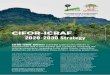 CIFOR-ICRAF · Agroecology Green tree-crop commodity value chains Solutions delivery Issue based Transformation timeline Analysis Data collection Model development Alliances TPPs