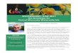 Bonnie Schwichtenberg WATERMARKS: JUNE 2017 · 2017-06-01 · WATERMARKS: JUNE 2017 The Newsletter for Central Minnesota Watercolorists ONLINE Find Central Minnesota Watercolorists