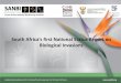 South Africa’s first National Status Report on Biological ... · Set goals and implement management measures b) Monitoring and ... Final status report First draft chapters Peer