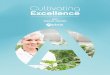 Cultivating Excellence - Medical Marijuana & …...Cultivating Excellence 2017 ANNUAL REPORT shaping the future OF MEDICAL CANNABIS We invite you to read about our journey, commitment,