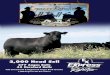 Express Ranches Fall Bull Sale - Layton Auctionlaytonauction.com/pdf/catalogs/2017/08-31/2017_EX_FBS_Catalog.pdf · ScourGuard 3 (K)/C should be administered pre-calving if calf scours