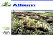Descriptores del Allium (Allium spp.) · El IPGRI funciona mediante tres programas: 1) el Programa de Recursos Fitogenéticos, 2) el Programa de Apoyo de Recursos Genéticos del GCIAI,