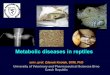 Metabolic diseases in reptiles - VFU · anorexia (reptiles : birds : mammals) x postprandial values uric acid, bile acids circadian x circanual differences gender (hormones, reproduction)