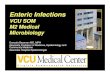 Enteric Infectionsgbearman/Adobe files/Final2008... · Enteric Infections VCU SOM M2 Medical Microbiology Gonzalo Bearman MD, MPH ... types of Shigella bacteria – Campylobacteriosis