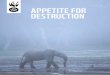 APPETITE FOR DESTRUCTION · Appetite for destruction is a vital piece of work that clearly sets out what we believe to be one of the biggest challenges to our food system and the
