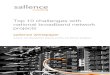 Top 10 challenges with national broadband network projects · 2018-09-06 · Salience viewpoint Top 10 challenges with national broadband network projects Page 4 Executive Summary