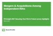 Mergers & Acquisitions Among Independent RIAss1.q4cdn.com/959385532/files/doc_downloads/research/2017/... · 2017-03-17 · Mergers & Acquisitions Among Independent RIAs . ... Desire