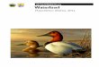 Waterfowl Population Status, 2014 - Game Commission · 2016-02-22 · Waterfowl Population Status, 2014 July 24, 2014 In North America the process of establishing hunting regulations