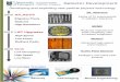 1.A0DetDev poster final - University of Glasgow · LHC Upgrades Radhard Pixels Low Power High Speed CLiC Low Occupancy High Speed 2015 2020 Active Pixel Sensors Reduced material and