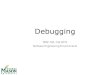 Lecture 5 - Debuggingtlatoza/teaching/swe795f19/Lecture 5 - Debugging.pdfHeisenbugs - bug disappears when using debugging tool long run to replicate - debugging tool slows down long