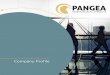 Company Profile - Pangea International Tours · (LSTK) engagements. The most prevalent of strategies being the conventional Engineer Procure and Construct (EPC) and the Engineer Procure