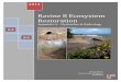 Ravine 8 Ecosystem Restoration - United States Army › Portals › 36 › docs › projects...Ravine 8 Ecosystem Restoration Appendix A – Hydraulics & Hydrology Alternative Formulation