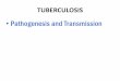 Pathogenesis and Transmission · 2016-10-28 · Pathogenesis Droplet nuclei of 5µm or less are generated by individuals with TB and these contain 1-10 bacilli A single bacillus can