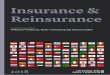 Insurance & Reinsurance - Bonn & Schmittbonnschmitt.net/.../GTDT_insurance-reinsurance-2018.pdf · 2018-07-11 · 4 Officers and directors What are the minimum qualification requirements