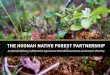 THE HOONAH NATIVE FOREST PARTNERSHIP › content › dam › tnc › nature › en › ... · With this in mind, the Hoonah Native Forest Partnership (HNFP) was formed in 2015. An