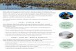 The Napa Valley of Oysters · 2018-08-02 · • Increase public par cipa on, engagement and understanding of the importance plan ngs through modeling, mapping, monitoring and adap