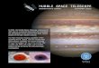 HUBBLE SPACE TELESCOPE - stsci.edu€¦ · The Hubble Space Telescope’s Ultraviolet Legacy Library of Young Stars as Essential Standards (ULLYSES) is a Director’s Discretionary