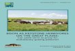 BISON AS KEYSTONE HERBIVORES ON THE GREAT PLAINS as keystone... · 2017-10-11 · Bison as Keystone Herbivores on the Great Plains 1 " The role of herbivores in grassland ecosystems