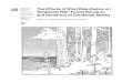 United States The Effects of Wind Disturbance on Temperate ...mkramer/publications/Kramer_1998_TR.pdf · nation of biotic factors (stand composition, canopy structure, size, age,