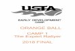 ORANGE BALL - preview.usta.com€¦ · competing and allow the coaches to evaluate game skills 20 min 5 Controls to teach the players the importance of the five different ball controls-