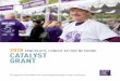 2018 CATALYST GRANT - Pancreatic Cancer Action Networkmedia.pancan.org/rsa/2017/2018-Catalyst-Grant-Guideline-and... · Start of grant term is July 1, 2018. Grant recipients are expected