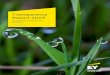 Transparency Report 2019 - Ernst & Young › content › dam › ey-sites › ey-com › ... · PDF file Transparency Report 2019: EY South Africa 4 At EY South Africa, [Country MP