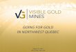 GOING FOR GOLD IN NORTHWEST QUEBEC...2011/08/25  · TSX.V : VGD | FSE : 3V4 3 • Focused exclusively on gold exploration and development in northwest Quebec • Aggressive 2011 drill